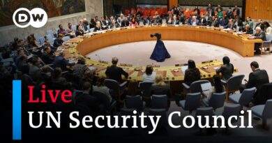 Live: UN Security Council on Gaza | DW News