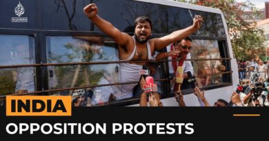 India’s opposition supporters protest arrest of key leader | Al Jazeera Newsfeed