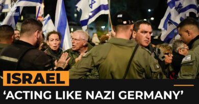 Israeli protester says Israel is behaving like Nazi Germany | Al Jazeera Newsfeed