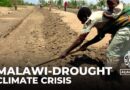 Malawi drought: Government declares a state of emergency