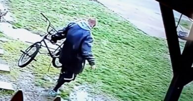 Man Seen Stealing Kid’s Bike From Front Lawn: Cops
