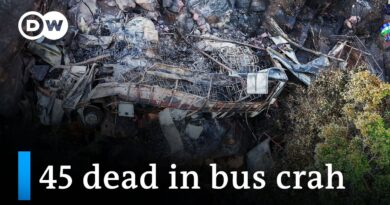 South Africa bus crash leaves dozens dead | DW News