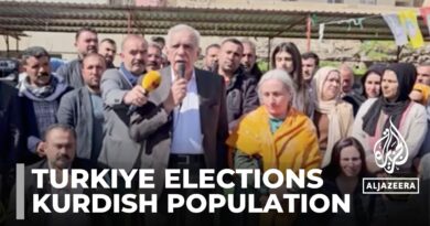 Turkiye elections: Candidates court Kurdish voters