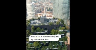 Bosco Verticale in Milan: the future of green architecture? | DW News