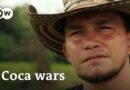Colombia’s coca wars | DW Documentary