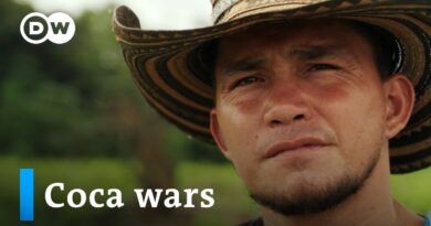 Colombia’s coca wars | DW Documentary