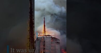 Copenhagen’s historic stock exchange building in flames | DW News