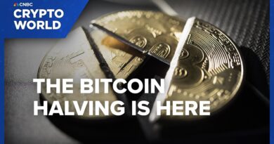 Crypto World: The Bitcoin Halving Is Set To Shake Up The Crypto’s Price And The Network’s Miners