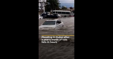 Flooding in Dubai after a year’s worth of rain falls in hours| #AJshorts