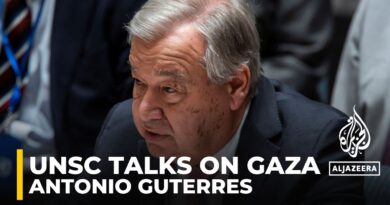 Gaza a ‘humanitarian hellscape’: UN chief