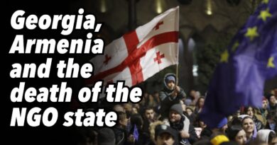 Georgia, Armenia and the death of the NGO state