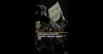 Georgians protest against ‘foreign agent’ bill | AJ #shorts