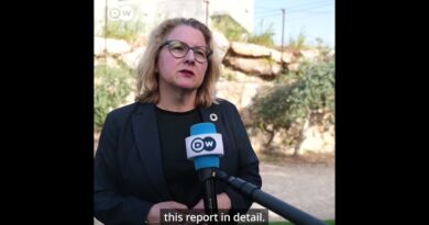 German Development Minister Svenja Schulze comments on UNRWA Investigation | DW News