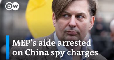 German far-right lawmaker Maxmilian Krah confirms alleged China spy works for him | DW News