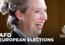 Germany far-right party: AFD launches campaign for European elections