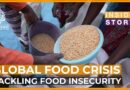 How can we reduce global food insecurity? | Inside Story
