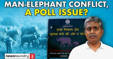 In Chhattisgarh, man-elephant conflict kills hundreds of tribals. Is it an election issue?