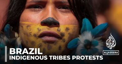 Indigenous tribes march for justice in Brasilia to protect their land and cultural rights