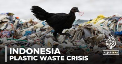 Indonesia grapples with plastic waste crisis amid global UN plastic treaty talks