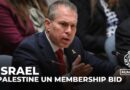Israel says Palestine full UN membership bid is for political interest