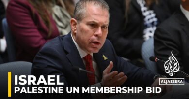 Israel says Palestine full UN membership bid is for political interest