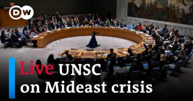 Live: UN Security Council debates the situation in the Middle East | DW News