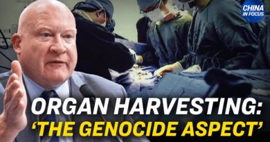 ‘Organ Harvesting Is the Genocide Aspect’: Expert | China In Focus