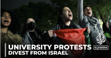 Palestine solidarity: Second week of protests across US campuses