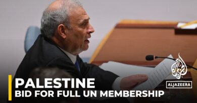 ‘Palestinian state could not be harm to peace’: Palestinian representative to the UN