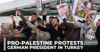 Pro-Palestine protesters condemn German president over Israel support in Istanbul