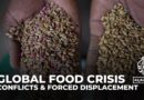 Reports says conflict outweighs climate change in driving global hunger