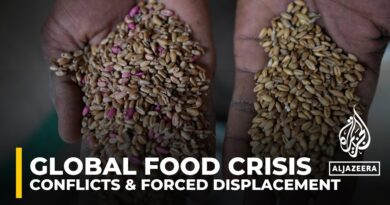 Reports says conflict outweighs climate change in driving global hunger