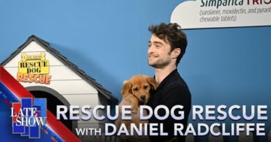 Rescue Dog Rescue With Daniel Radcliffe