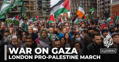 Solidarity with Palestine: Tens of thousands march through central London