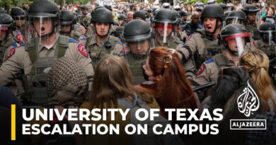 Standoff at University of Texas as troopers move to clear pro-Palestine protesters