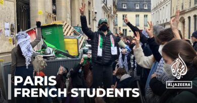 Student protest in Paris: Dozens are rallying in support for Palestine