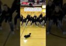 Teen With No Limbs Performed Incredible Dance Routine #shorts