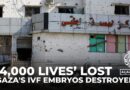 Thousands of IVF embryos destroyed in Israeli attack on Gaza’s largest fertility centre
