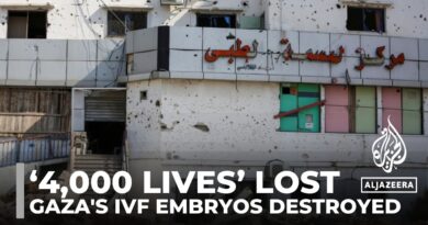 Thousands of IVF embryos destroyed in Israeli attack on Gaza’s largest fertility centre