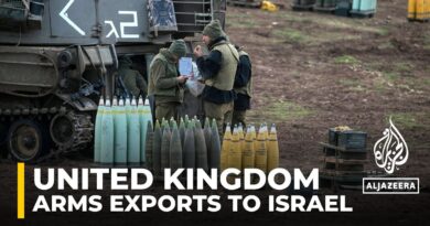 Two govt ministers testify to UK parliament committee on arms exports to Israel