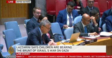 UN Security Council is meeting to discuss humanitarian situation in Gaza