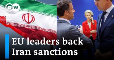 What are the desired effects of the sanctions, how could they impact Iran? | DW News