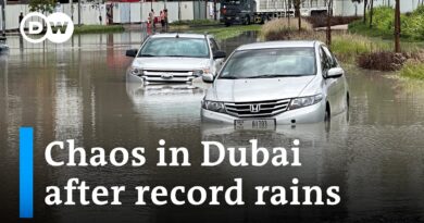 What is behind the record downpour? | DW News