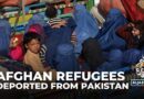 ‘Why am I being sent back?’ Hurt, anger for Afghans pushed out by Pakistan