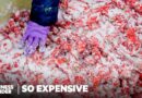 Why Less Snow Is Threatening Japan’s Expensive Kanzuri Chile Paste | So Expensive | Business Insider