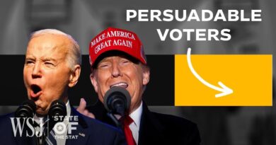 Why ‘Persuadable’ Voters Aren’t Sold on Trump or Biden: A Data Breakdown | WSJ State of the Stat