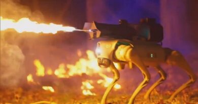 Would You Buy This Flamethrowing Robot Dog?