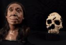 3D Reconstruction of Neanderthal Woman’s Face Created From Skull