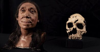 3D Reconstruction of Neanderthal Woman’s Face Created From Skull