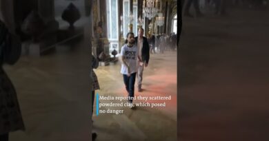 Activists release orange powder into Versailles Hall of Mirrors | DW News